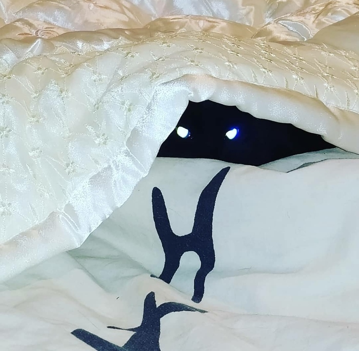 ����� �������������