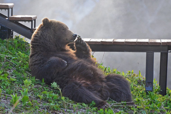 В ожидании туристов...
