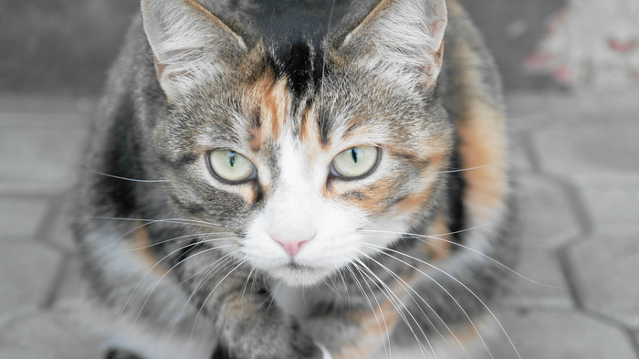 Такой взгляд...