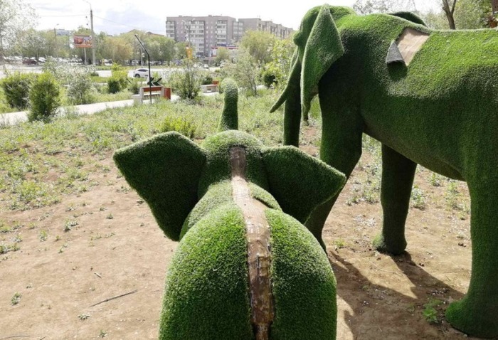          ,  , 