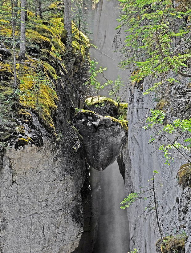 159008008917455133 для чего нужны щупальца