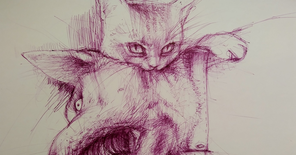 Почеркушки. Рисунки ручкой. Коты скетчи. Набросок кота. Кот скетч.