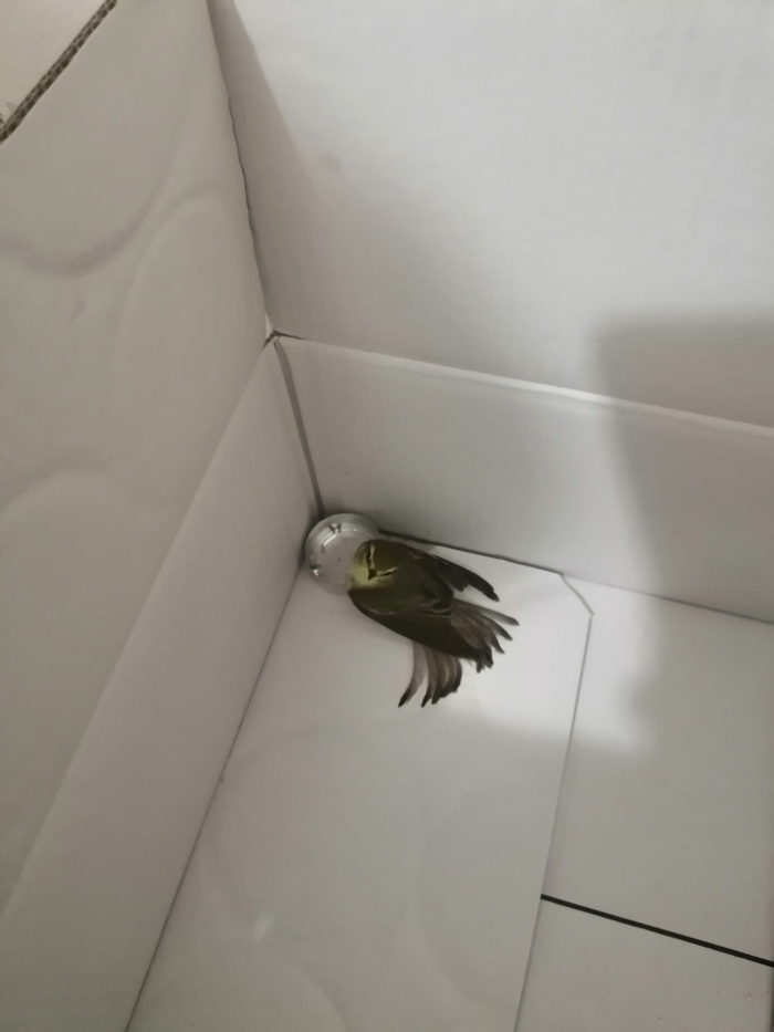 ����� ������!