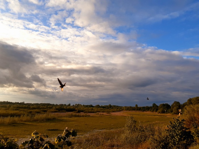 ����� ��������