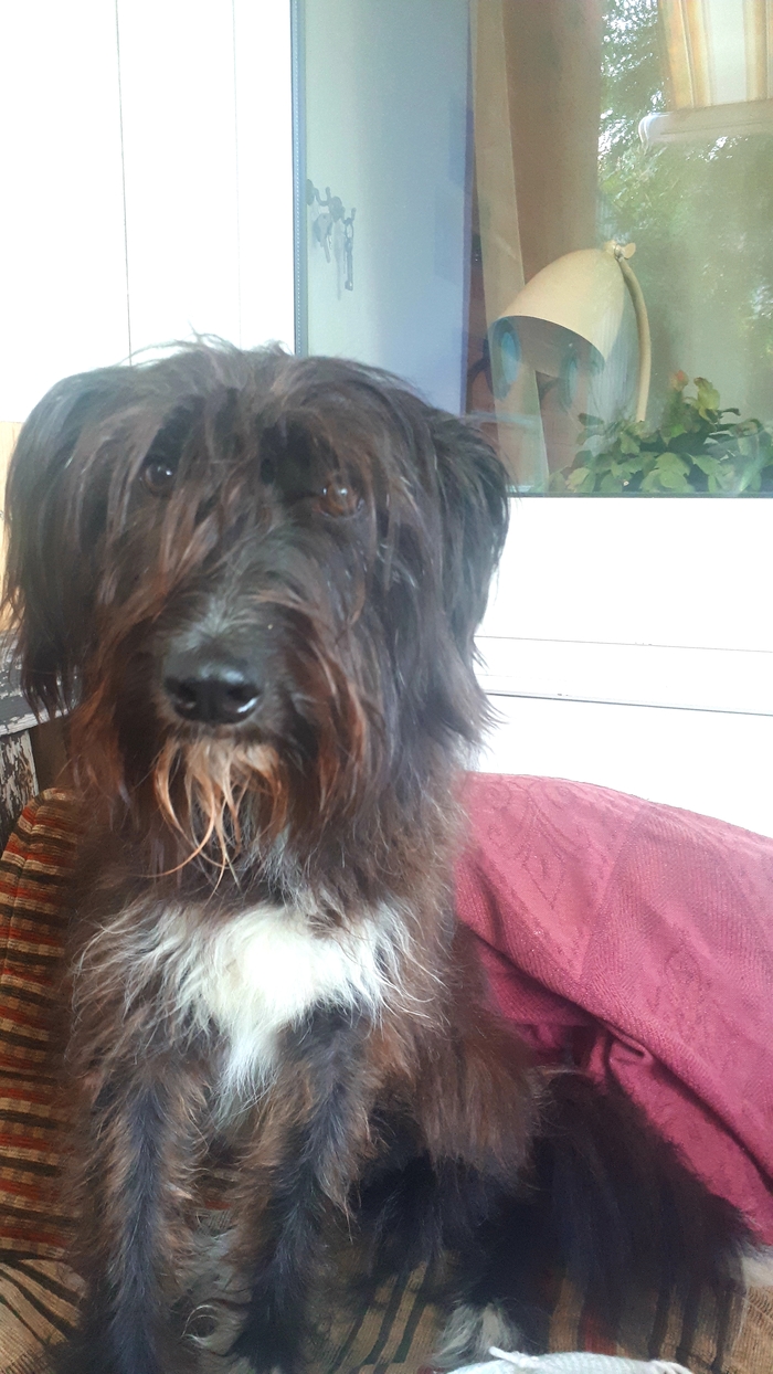 �������� ��������