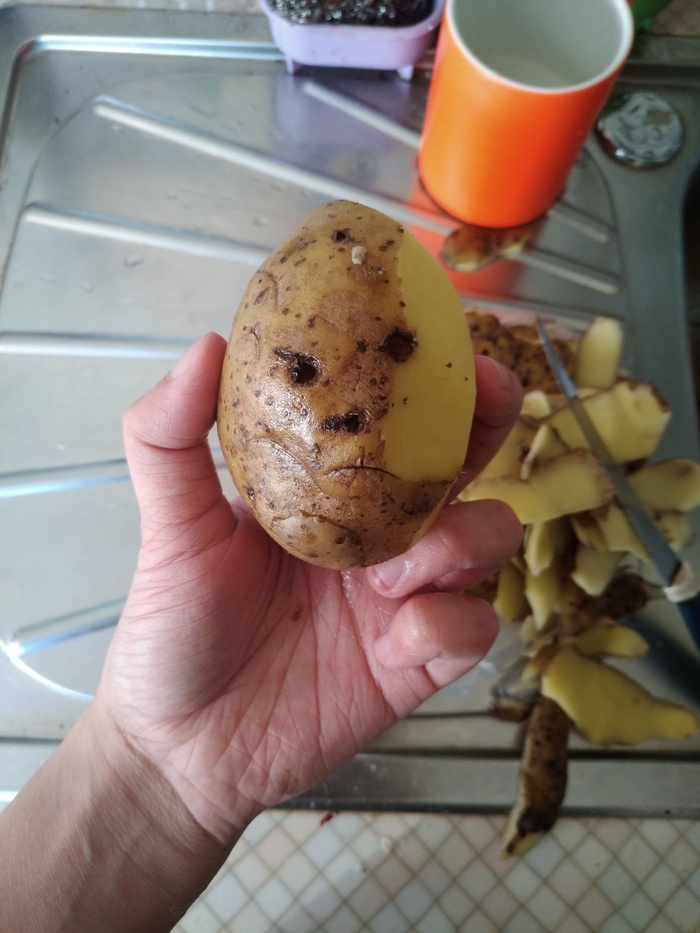 Агрессивная картошка Парейдолия, Картофель, Лицо