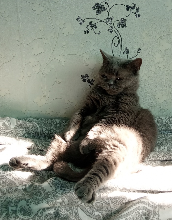 Шерстяная леди принимает солнечные ванны