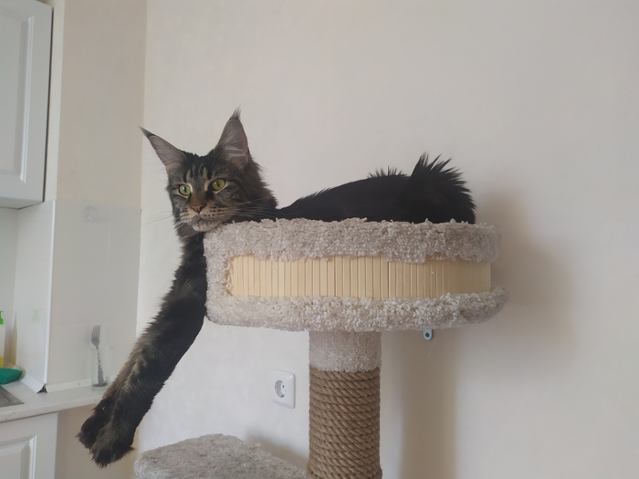 ������� ���� ������