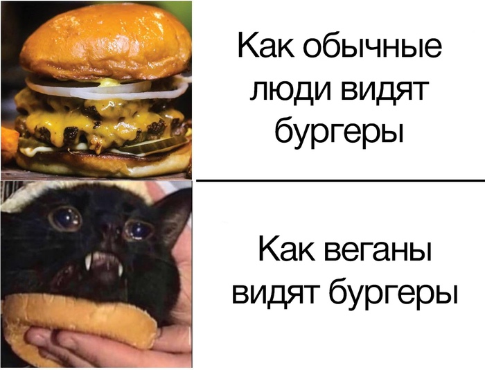 ���� �������