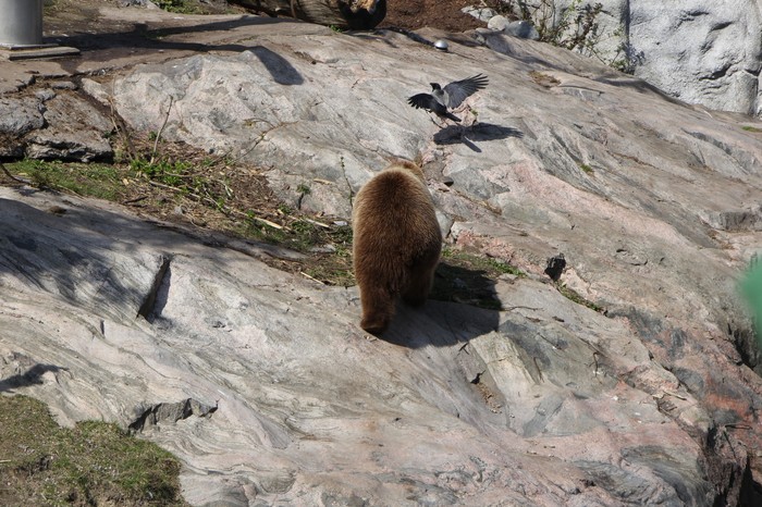 Так они называли меня толстяком?