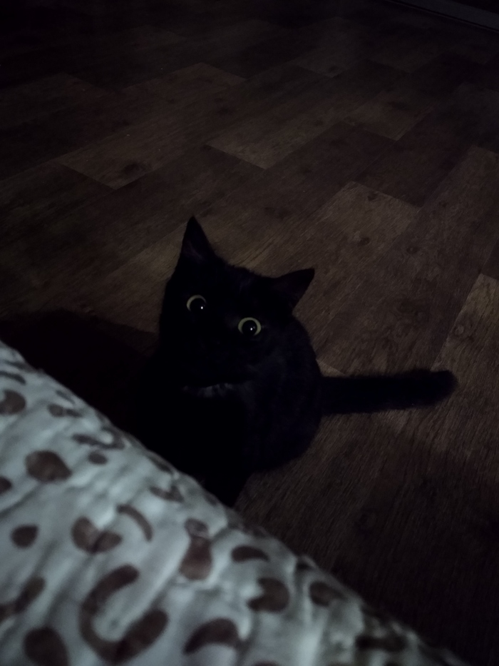 ������ ����� 2. (�����������)