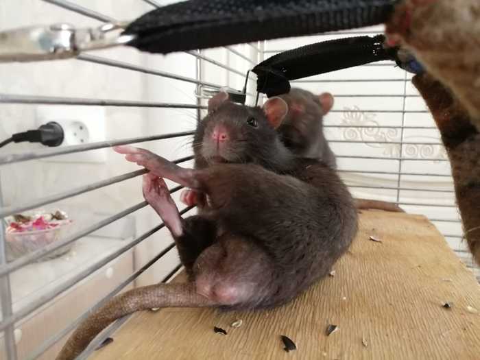      ?  , ,  