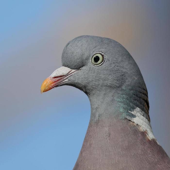 � ����� ����� ���� ��� ������ ���������� ������������� ������-������