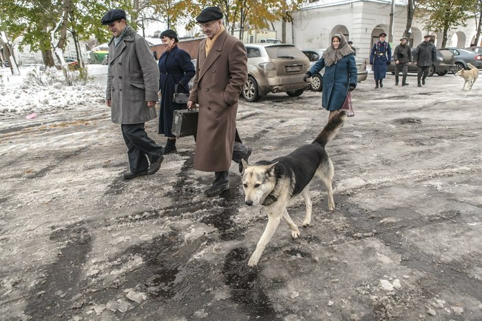 Ответ на пост «Он учил нас быть людьми» Новая Ладога, Собаки и люди, Достопримечательности, Добро, Видео, Ответ на пост, Длиннопост, Собака Ответ на пост «Он учил нас быть людьми» Новая Ладога, Собаки и люди, Достопримечательности, Добро, Видео, Ответ на пост, Длиннопост, Собака