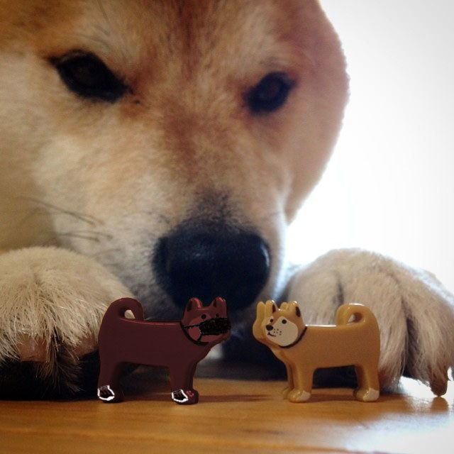 Мэйк гав нот лав