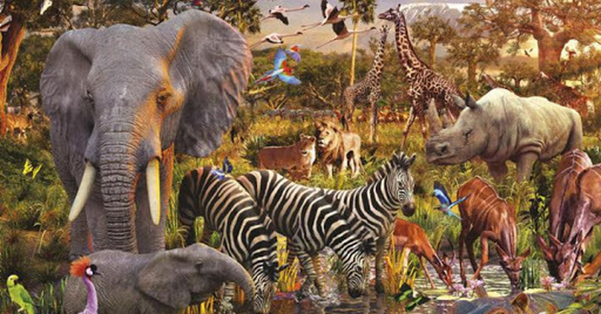 Выдуманные животные. Животные из нескольких животных. Дикие животные коллаж. Выдуманные животные. Множество животных.