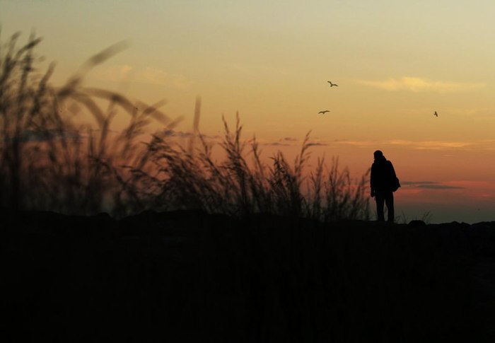 Знаменосец Хаоса