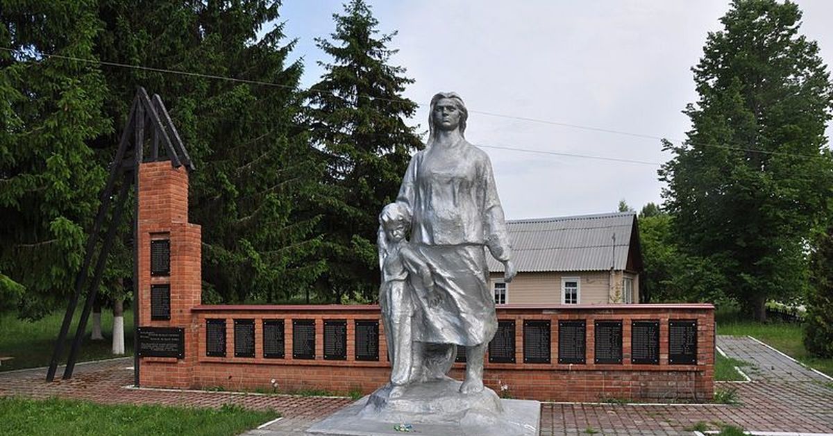 Регион проект жуковка брянская