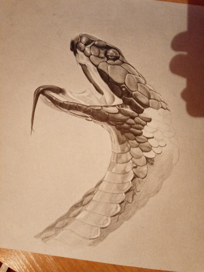 У вас тоже есть те рисунки, которые вы рисовали с приходом вдохновения и потом забросили, как только оно ушло и больше их не трогали?