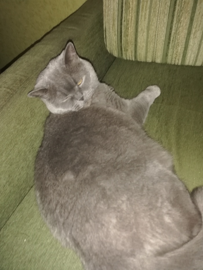      , ,   , ,  , 