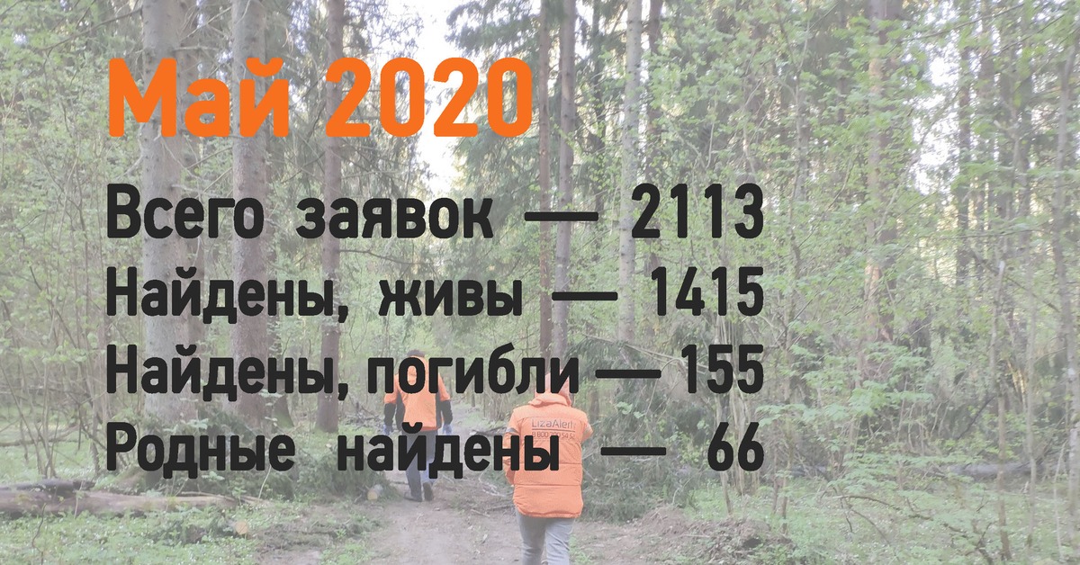 Сколько человек пропали без вести крокус. Статистика потерявшихся в лесу. Статистика потерявшихся в лесу Россия.