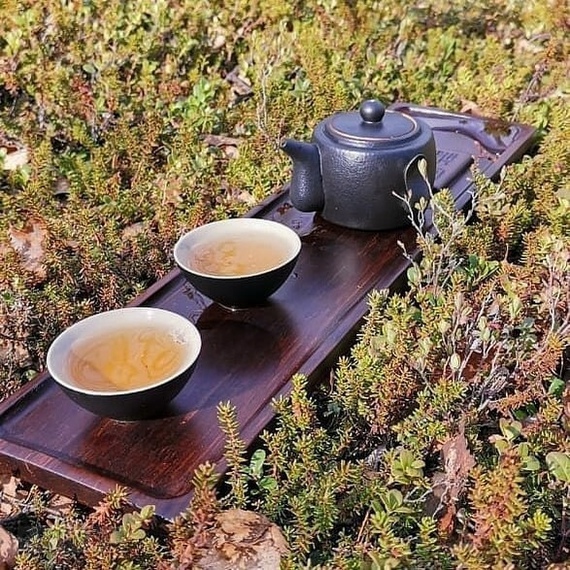 Чаепитие в тундре выглядит примерно так...