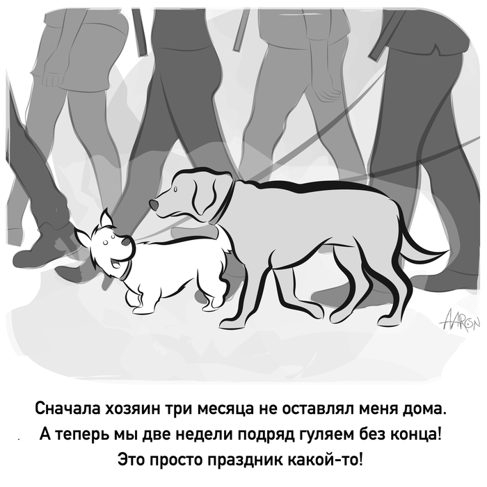 ������� �������