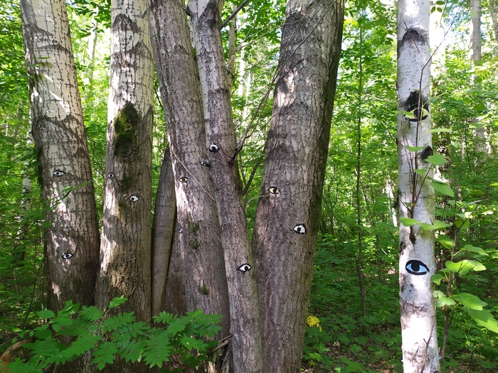 � ������ ����� � �������...