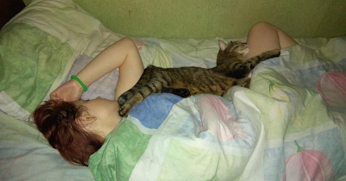 Подруга пришла ночевать. Девушка с котом на диване. Кот и Свин спят. Девушка на диване с котами.