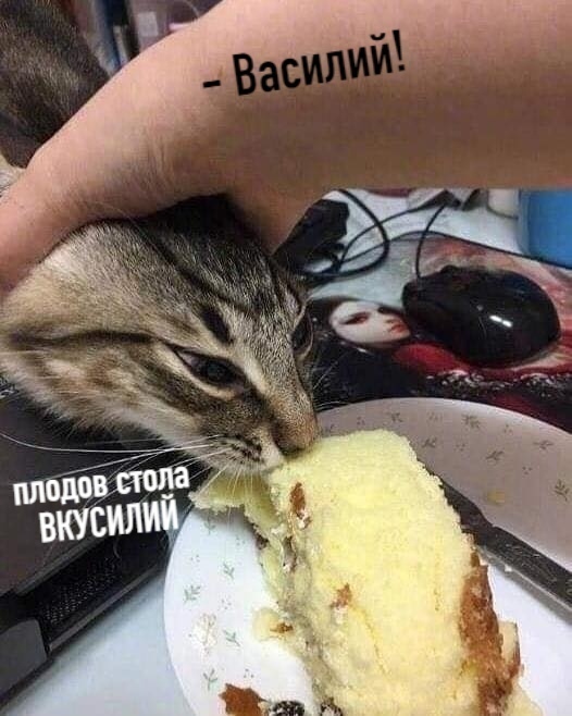 Василий плодов стола вкусили