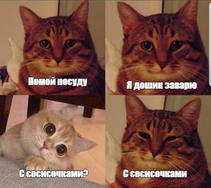 Коварный план