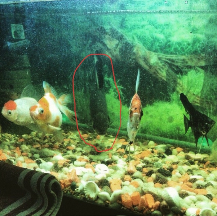 ����� �� ���� "������ � ���� �����"