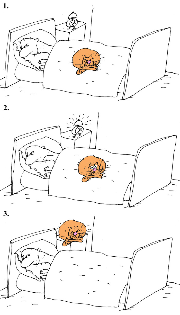 "�������������"