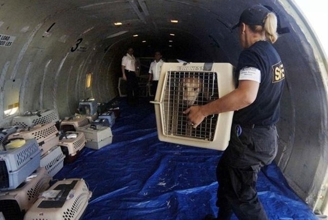 �������. �������� ����� ������� ��� ��� ���-������ ������� �� ����� ���������� ������ �����