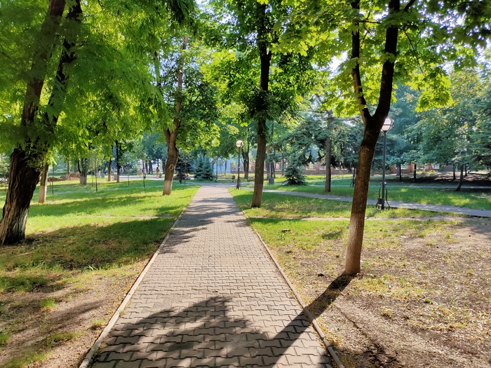 Утро в сквере