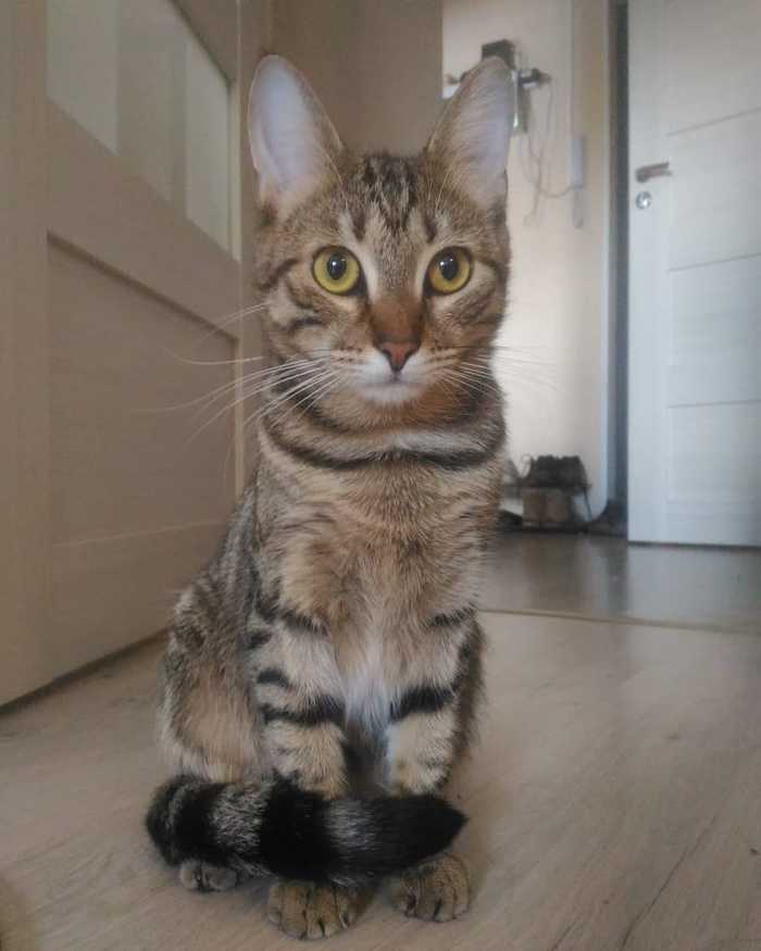        , , , 