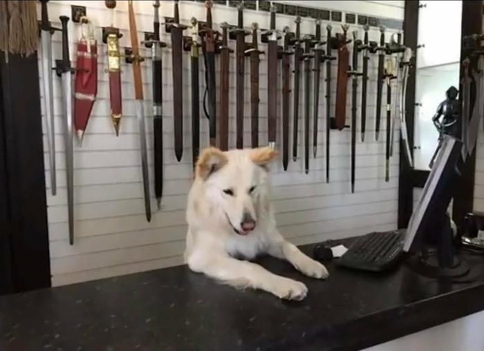 Надеюсь, процент от продаж достойный