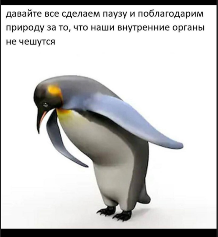 ���� �������������