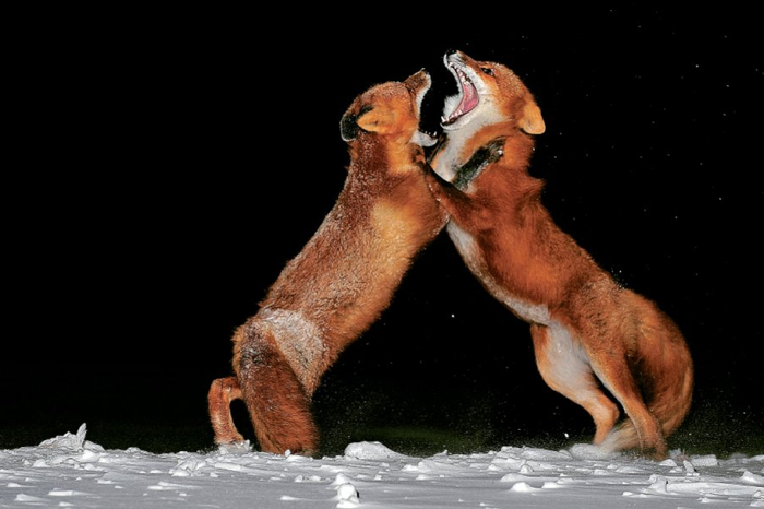 - -     ! ,  ,  , The National Geographic, , 