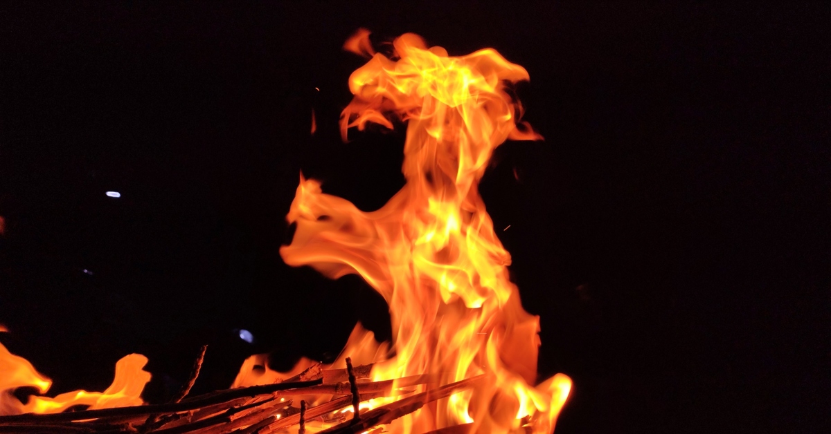 Вечер на пруду, прекрасное время | Пикабу