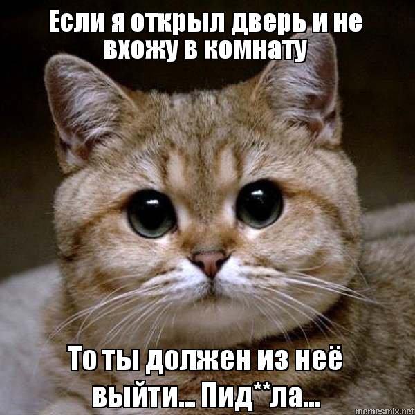 ������ �����