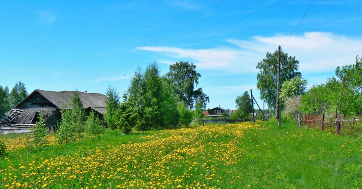 Село улица. Костромская область деревня летом. Майский в России поселение деревня. Улица в деревне. Деревенская улица.