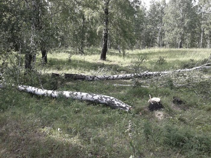 ��� ���������� �������? ��� ���� �������� ���