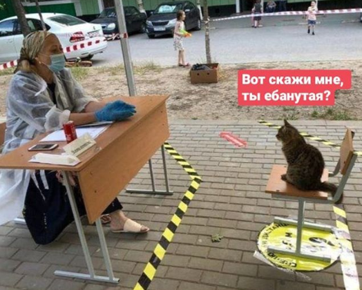 ���� �������� �� ��������