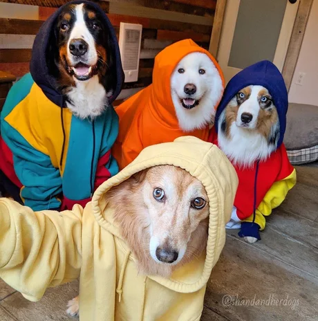 Снуп скоро подъедет парни. Пока без него