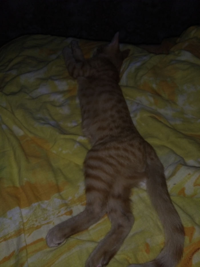  ,     , , 