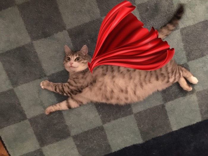 Этому городу нужен новый герой