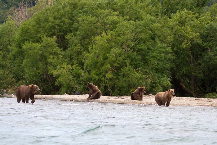 Однажды на озере...