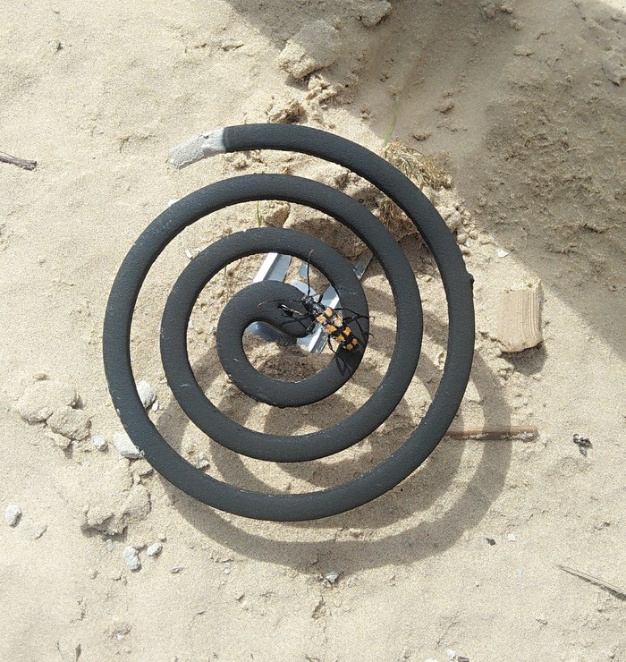 ������ �����