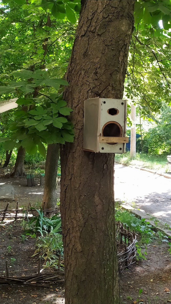 Музыкальная кормушка